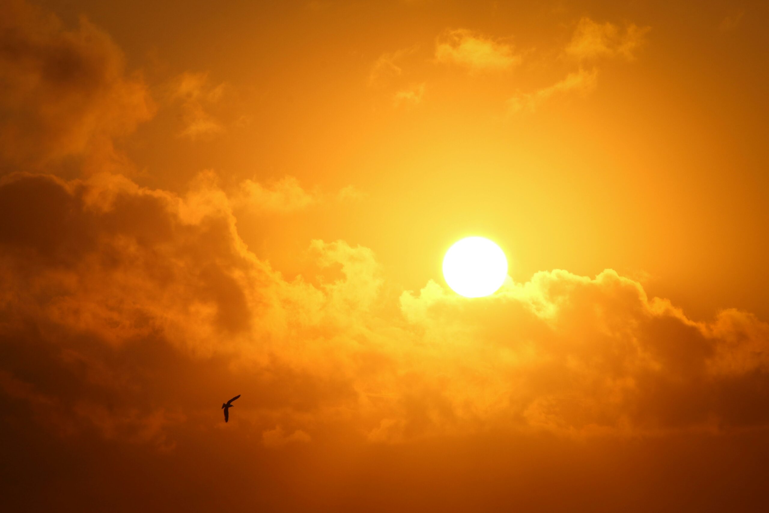 Lire la suite à propos de l’article Protéger efficacement sa peau du soleil